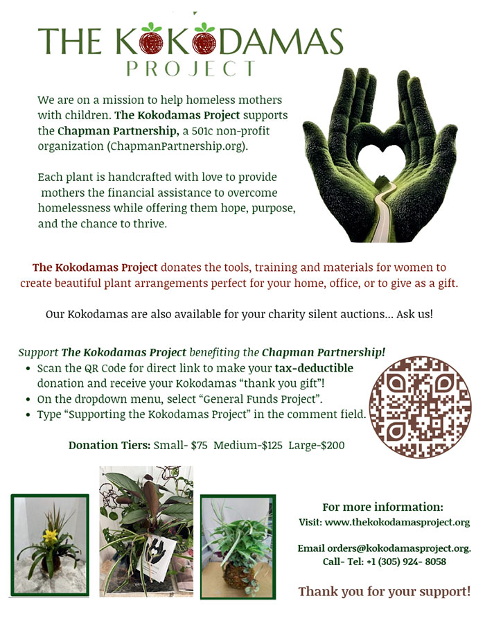 The Kokodamas Project